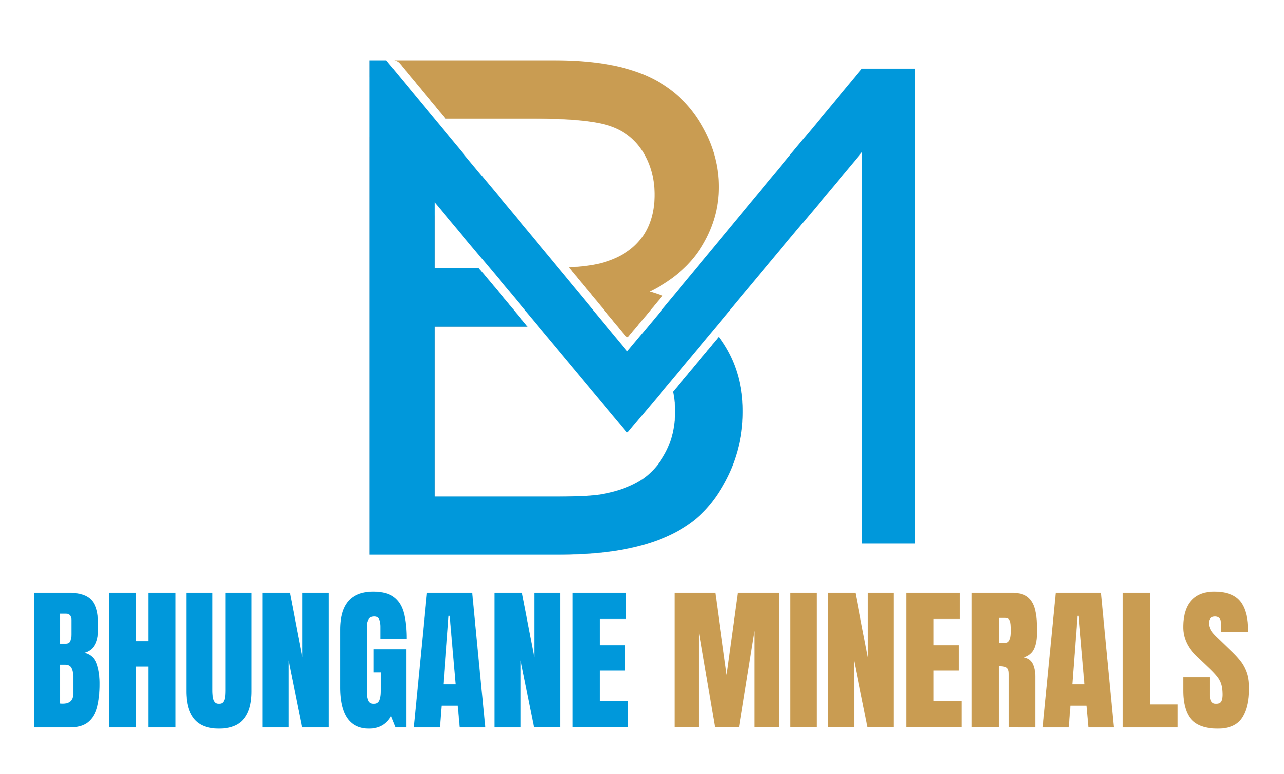 Logo copy